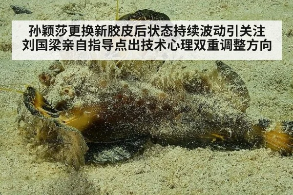 孙颖莎更换新胶皮后状态持续波动引关注 刘国梁亲自指导点出技术心理双重调整方向