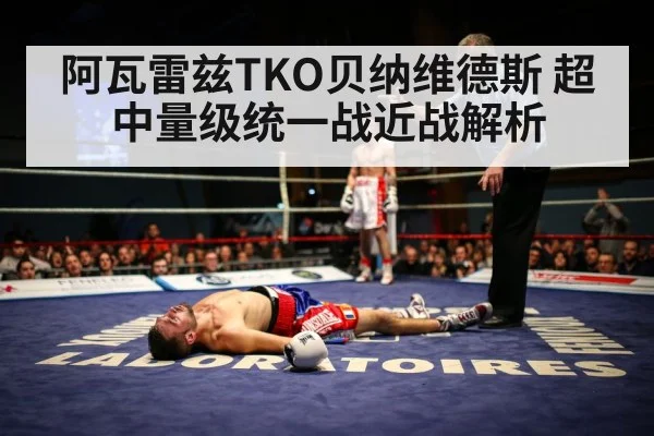 阿瓦雷兹TKO贝纳维德斯 超中量级统一战近战解析