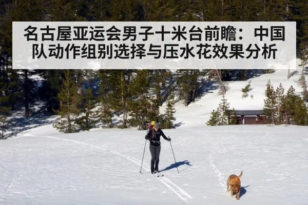 名古屋亚运会男子十米台前瞻:中国队动作组别选择与压水花效果分析