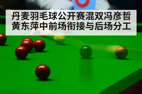 丹麦羽毛球公开赛混双冯彦哲黄东萍中前场衔接与后场分工